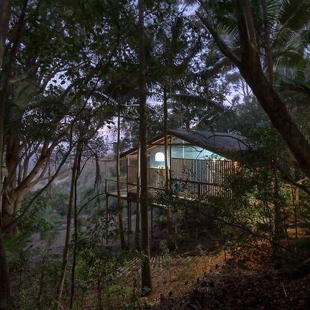 Treetops Seaview Монтвилл Экстерьер фото