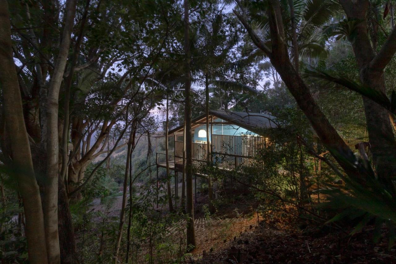 Treetops Seaview Монтвилл Экстерьер фото